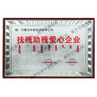 扶残助残爱心企业